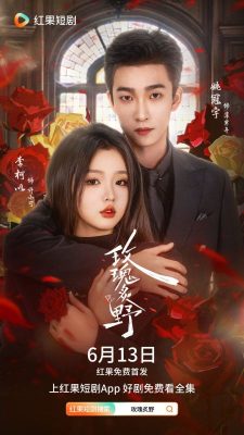 Дикая роза (2025)